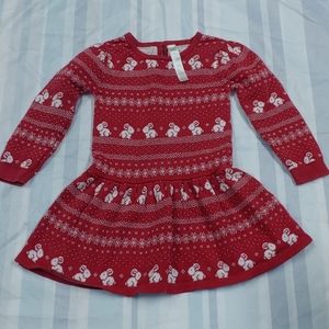 Seasonal Sweater Flare Dress